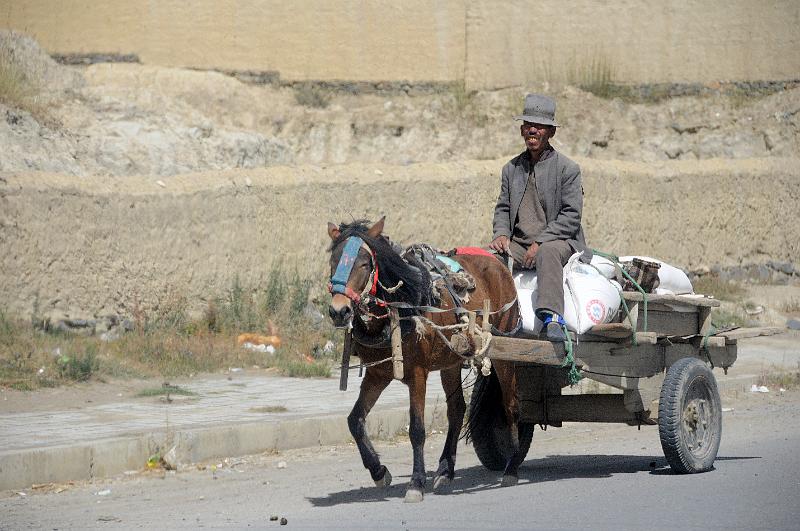 Bringing Home the Barley.jpg